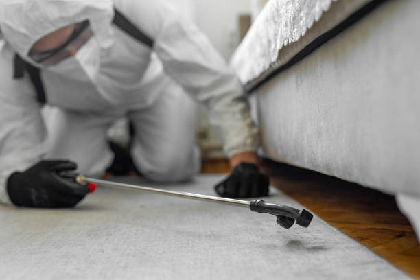 Professional Termite Control technician working in Madison, AL