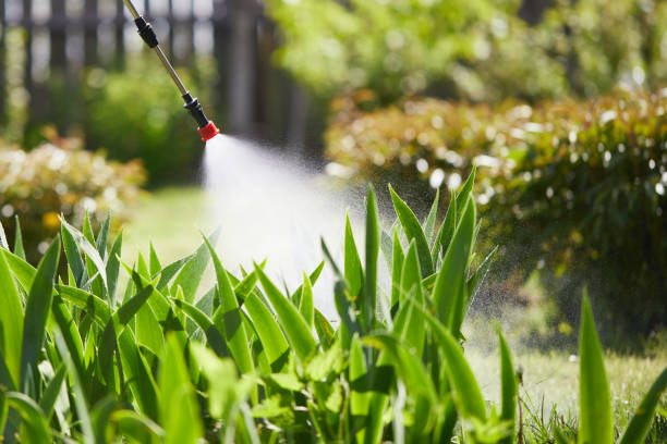 24/7 Emergency Termite Control experts in Madison, AL
