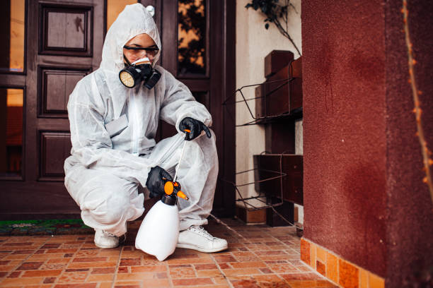 Reliable Termite Control contractor in Madison, AL by Nex Pest Control